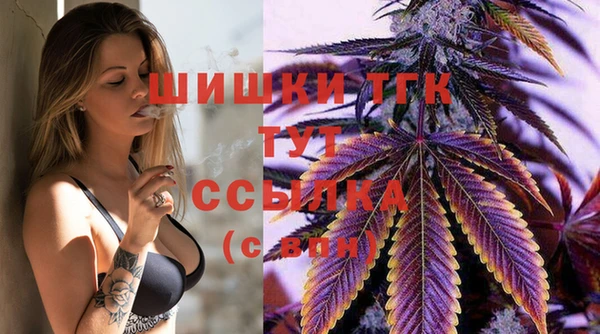 эйфоретик Михайлов