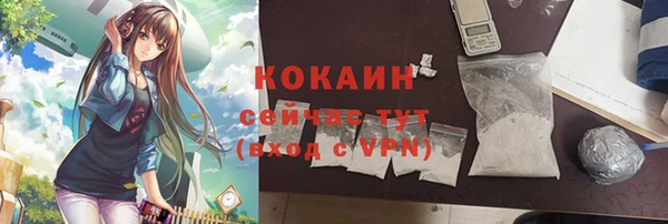 эйфоретик Михайлов