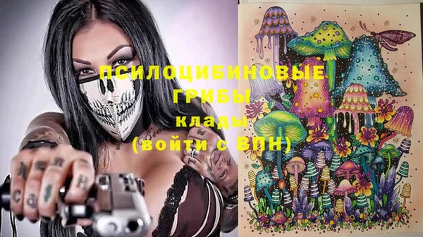 МДПВ Михайловск